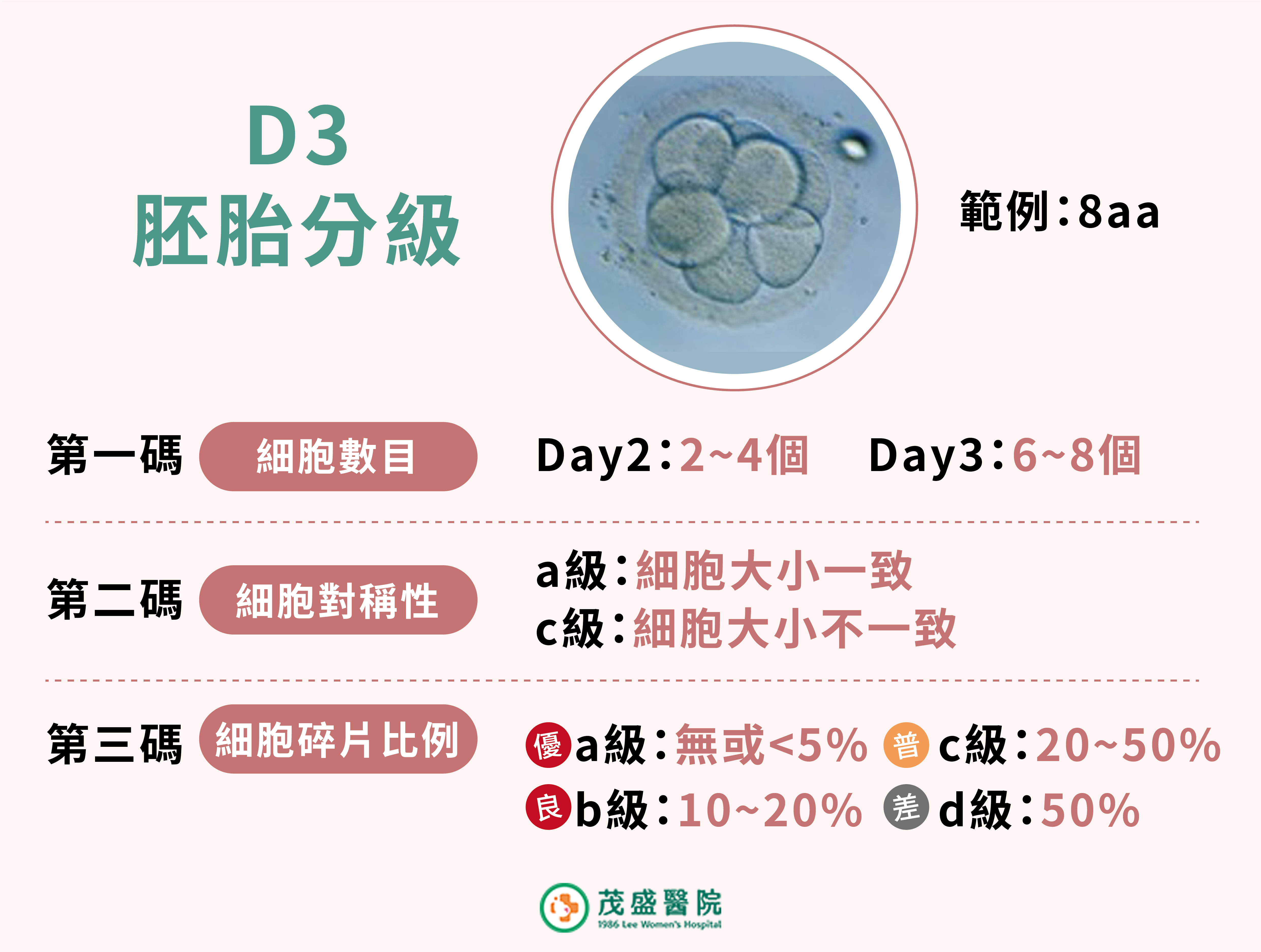 D3胚胎等級分級