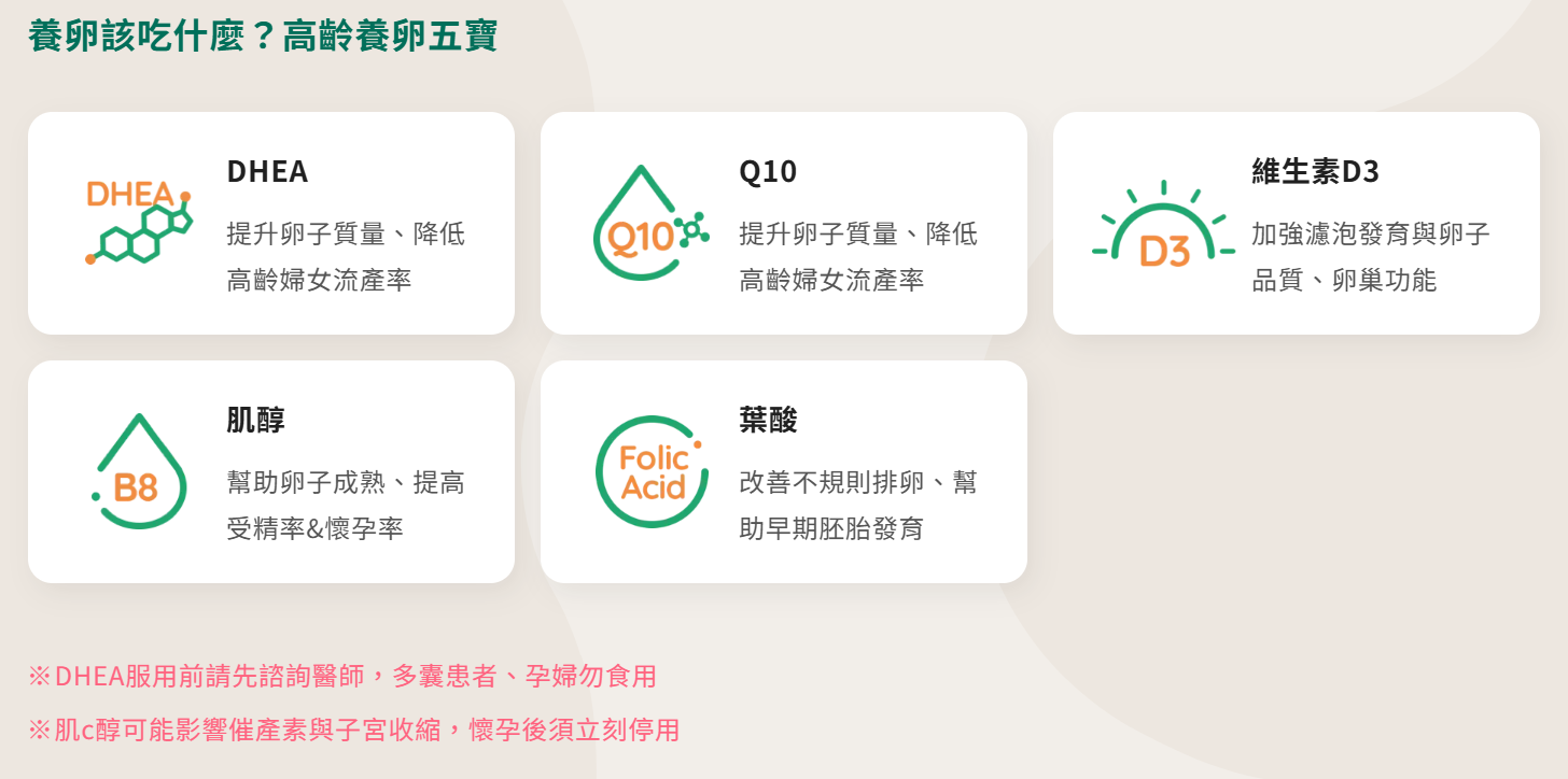 養卵該吃什麼？高齡養卵五寶