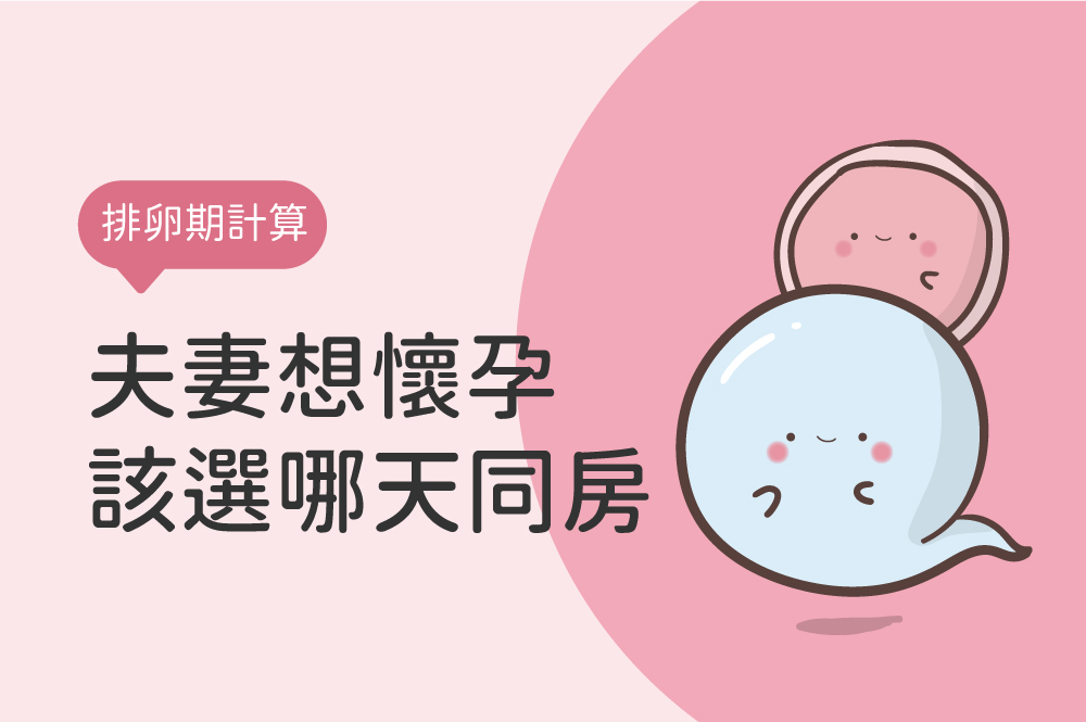 排卵期計算機：安全期怎麼算？從排卵日計算黃金受孕期！