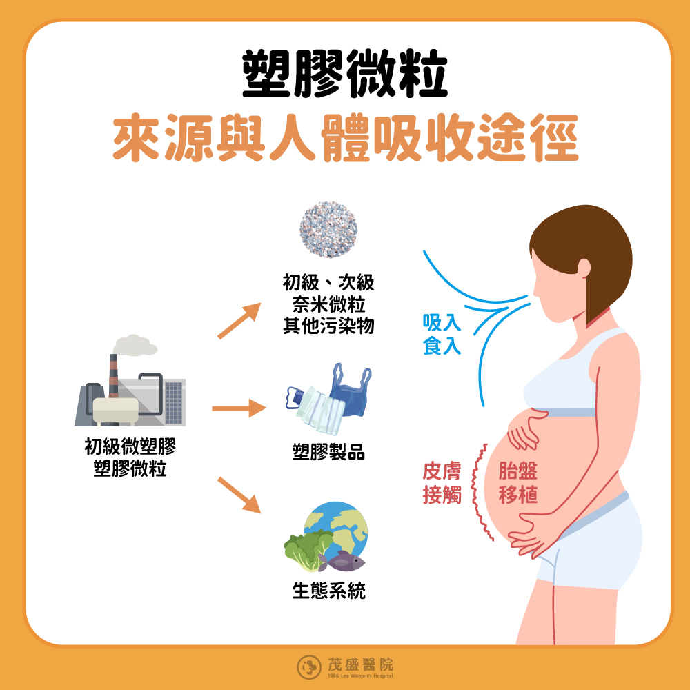 塑膠微粒來源與人體吸收途徑