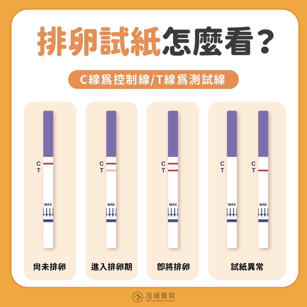 排卵試紙怎麼看？C線為控制線/T線為測試線：1.僅出現C線(尚未排卵)；2.淺T線、深C線(進入排卵期)；3.T、C線皆深呈現深色(強陽性，代表即將排卵)；4.試紙呈現空白/或僅出現T線(試紙異常，當次檢測結果無效)