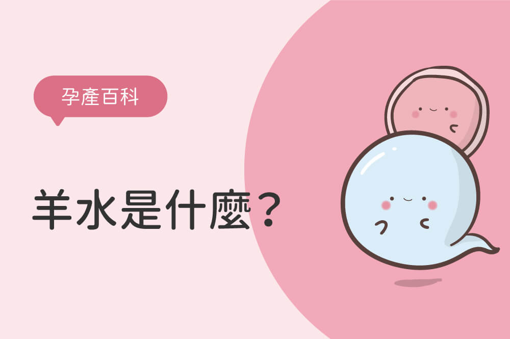 羊水是什麼？羊水過少、過多怎麼改善？了解羊水指數(AFI)