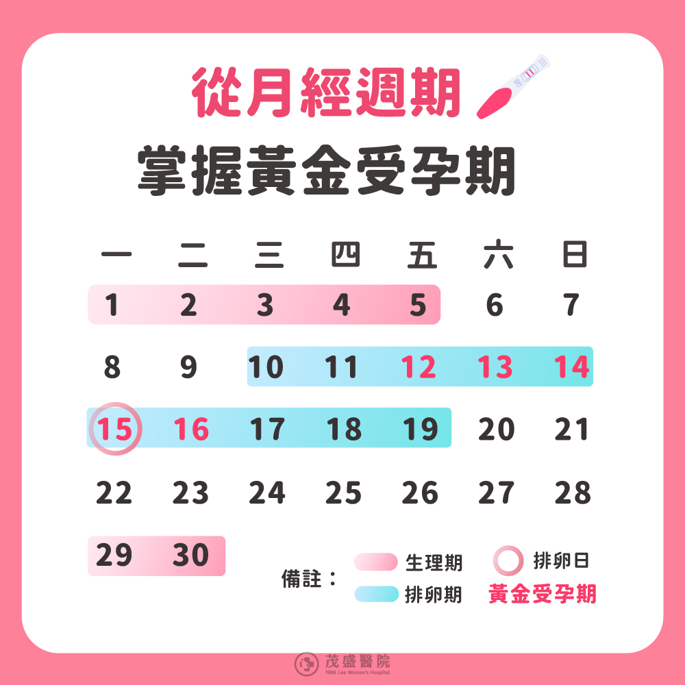 計算排卵日教學