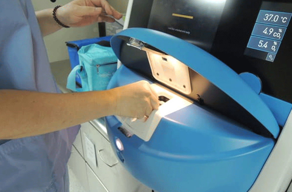 知名資深主播汪用和 不孕心酸史 名醫建議凍卵保生機