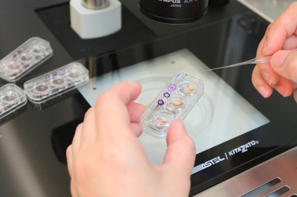 另類旅遊商機　中國人愛來台「凍卵」