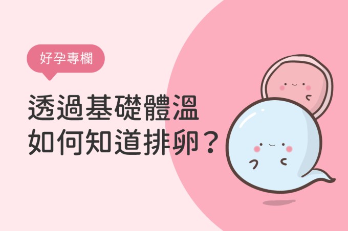 基礎體溫溫度計怎麼量？如何從基礎體溫知道排卵期溫度？