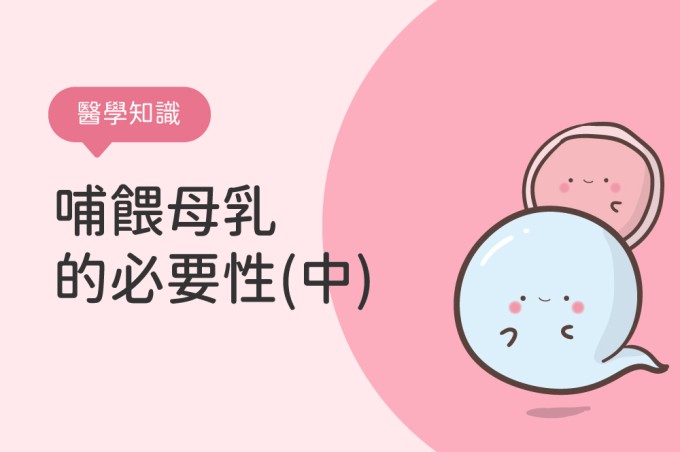 【醫學知識】哺餵母乳的必要性(中)