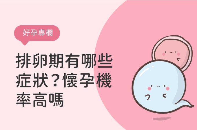 排卵期出血症狀會影響懷孕機率嗎?排卵期計算與成功受孕機率