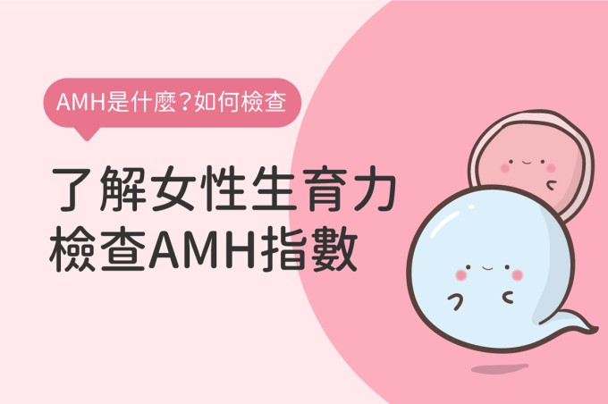AMH值是什麼?AMH正常值多少?檢查卵巢功能必看指標