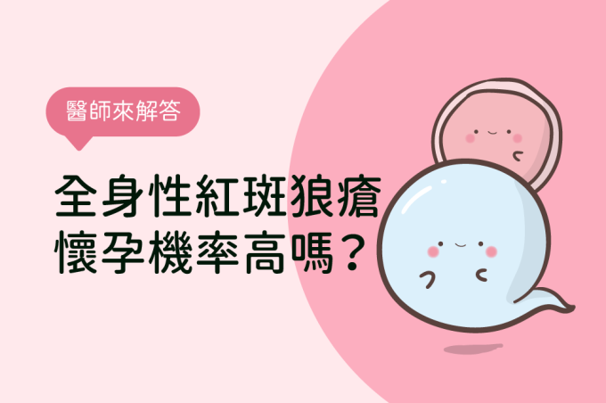 全身性紅斑狼瘡懷孕機率高嗎？淺談全身性紅斑狼瘡(SLE)症狀與孕產照護