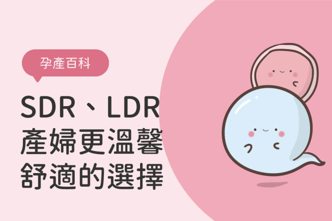 樂得兒產房(LDR)、SDR產房是什麼？產婦更溫馨舒適的選擇